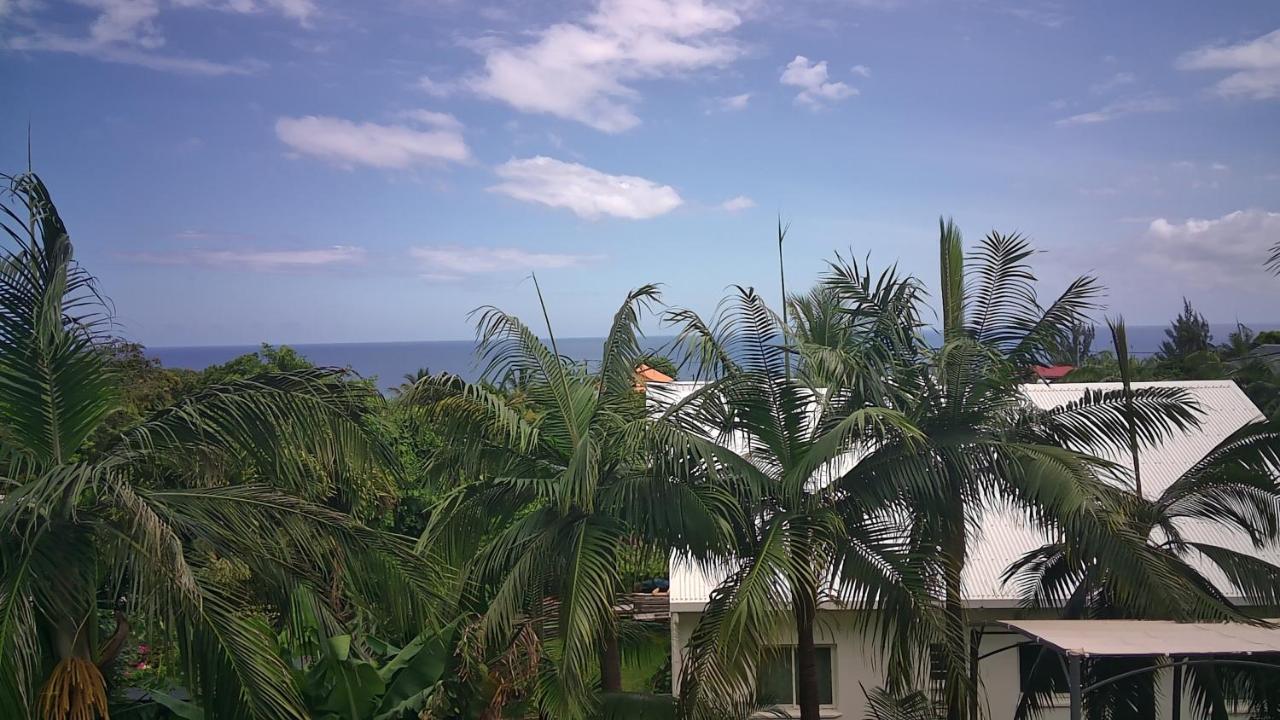 סיינט ג'וזף Un Petit Coin De Paradis A La Reunion מראה חיצוני תמונה