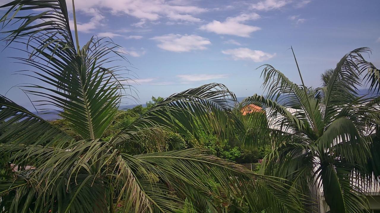 סיינט ג'וזף Un Petit Coin De Paradis A La Reunion מראה חיצוני תמונה